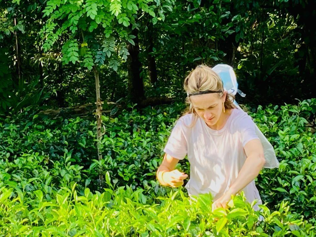 艾斯高瓦露营地 帕杜克 外观 照片